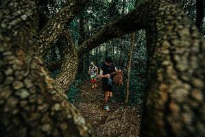 BIB: 
                            <button type="button" onclick="openModal(25668421)" class="btn btn-primary btn-sm float-right btn-popup" data-toggle="modal" data-target=".modal-high-quality">
                        <i class="fas fa-shopping-cart"></i> Add to Cart
                    </button>
                                            <button type="button" onclick="isThisMe(25668421, true)" class="btn btn-success btn-sm float-right btn-popup btn-isme hidden" data-toggle="tooltip" data-placement="bottom" title="นี่คือรูปของคุณใช่ไหม คลิกที่นี่เพื่อเอาเข้าอัลบั้ม">
                        <i class="fas fa-plus"></i> Add to album
                    </button>
                    <button type="button" onclick="isThisMe(25668421, false)" class="btn btn-warning btn-sm float-right btn-popup btn-isnotme hidden">
                        <i class="fas fa-ban"></i> Remove from album
                    </button>